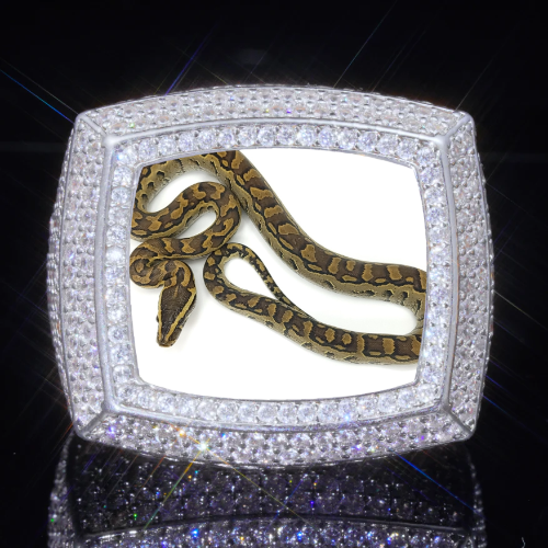 3D CUSTOM PICTURE ICED RING