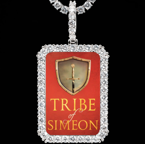CUSTOM PICTURE PENDANT STYLE-5