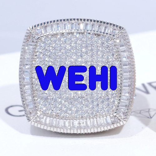 CUSTOM LETTER 3D ICED RING