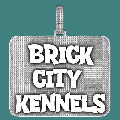 CUSTOM LETTER NECKLACE 3D BIG SQUARE