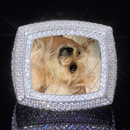 3D CUSTOM PICTURE ICED RING